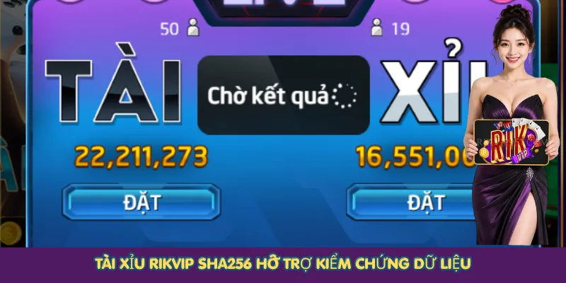 Tài xỉu Rikvip SHA256 hỗ trợ kiểm chứng dữ liệu